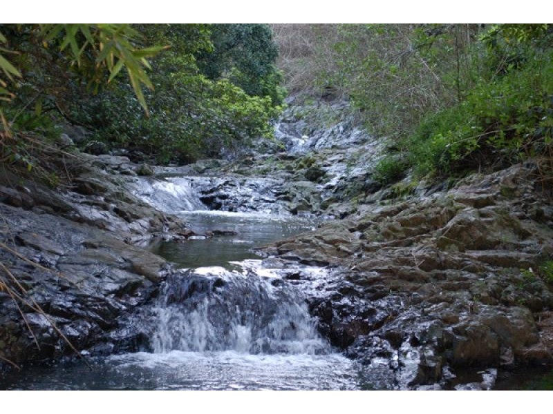 40 Clover Hill Road, Jamberoo NSW 2533