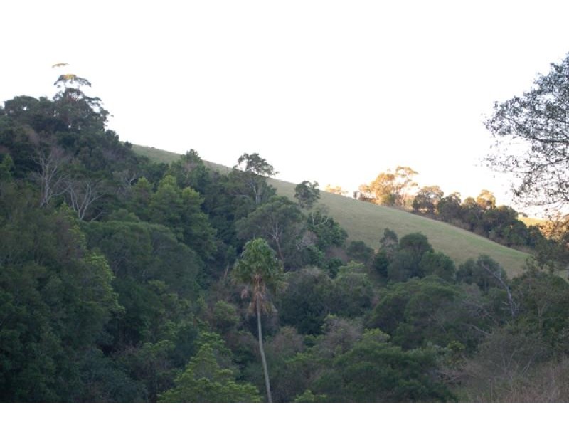 40 Clover Hill Road, Jamberoo NSW 2533