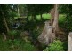 Lot 1/1709 Pacific Highway, Knockrow NSW 2479