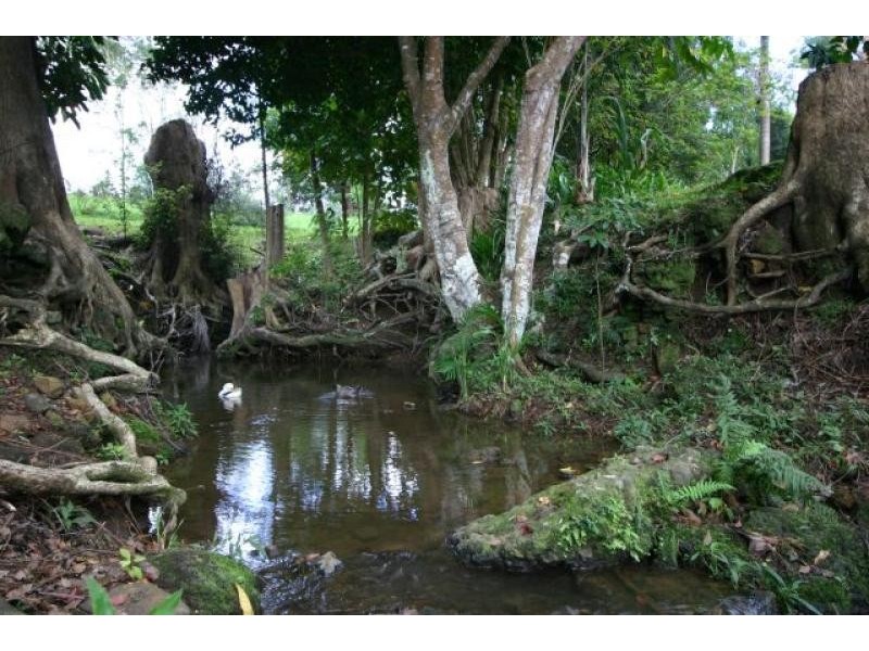 Lot 1/1709 Pacific Highway, Knockrow NSW 2479