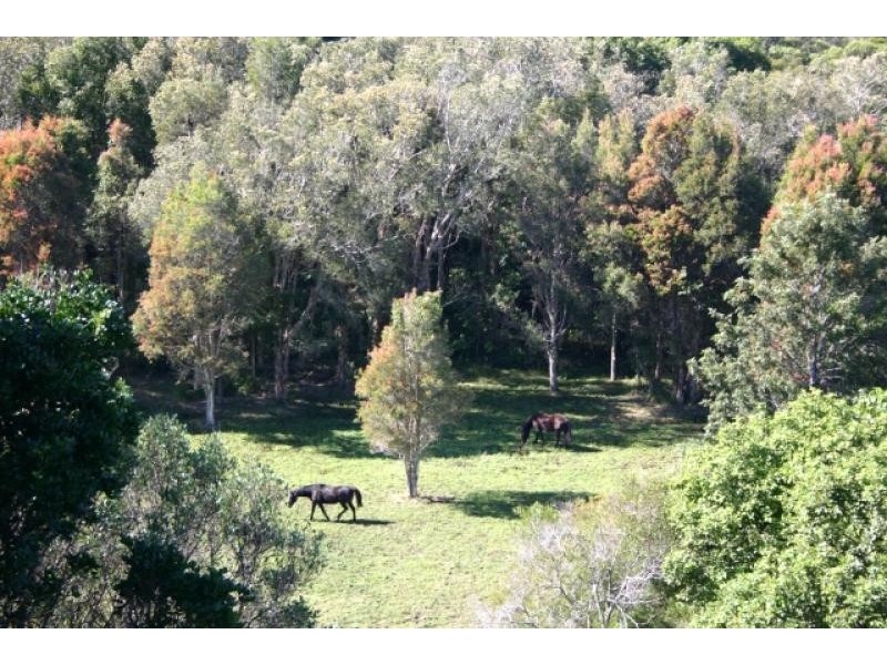 46 Fig Tree Hill Drive, Lennox Head NSW 2478