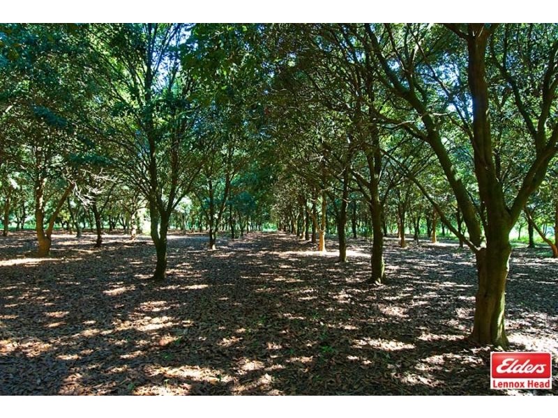 247 Friday Hut Road, Tintenbar NSW 2478