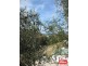 16 Suvla Street, East Ballina NSW 2478