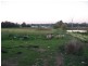 Leppington NSW 2179