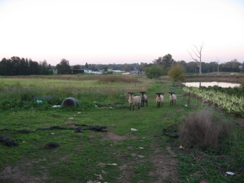 Leppington NSW 2179