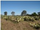 160 Victor Avenue, Kemps Creek NSW 2178