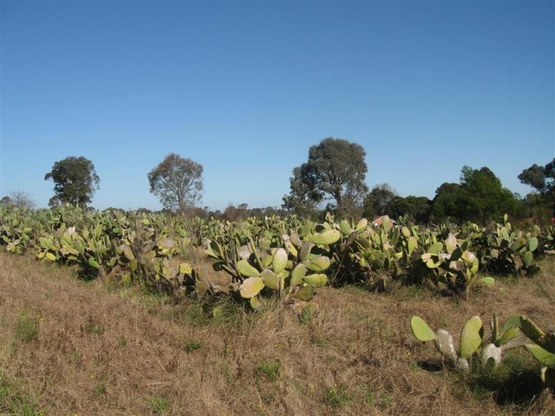 160 Victor Avenue, Kemps Creek NSW 2178