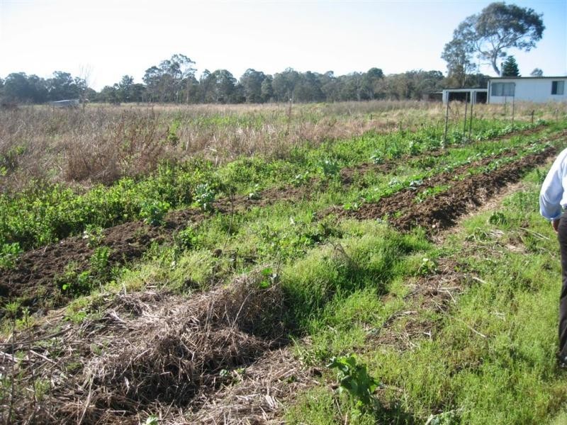 160 Victor Avenue, Kemps Creek NSW 2178