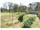 48 Gregory Rd, Leppington NSW 2179