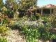 Ashby NSW 2463