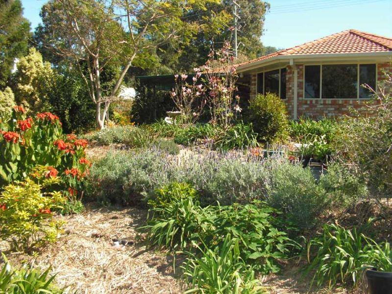 Ashby NSW 2463