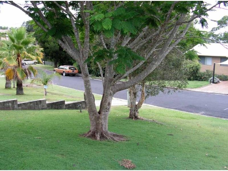 33 Roderick Street, Maclean NSW 2463