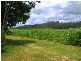 LOT 51 OLD FERRY ROAD, Ashby NSW 2463