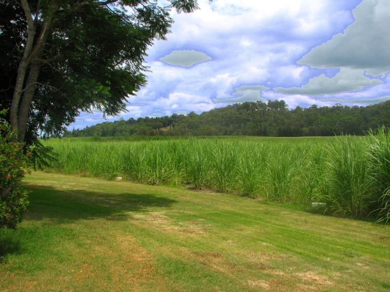 LOT 51 OLD FERRY ROAD, Ashby NSW 2463