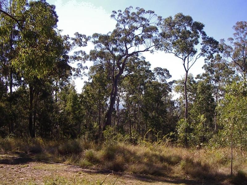 4770 Pringles Way, Lawrence NSW 2460