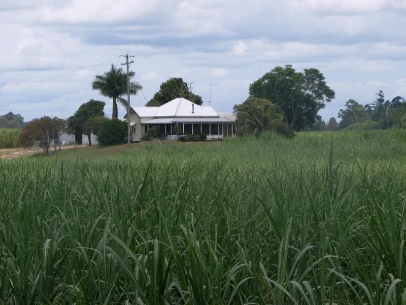 252 OLD FERRY ROAD, Ashby NSW 2463