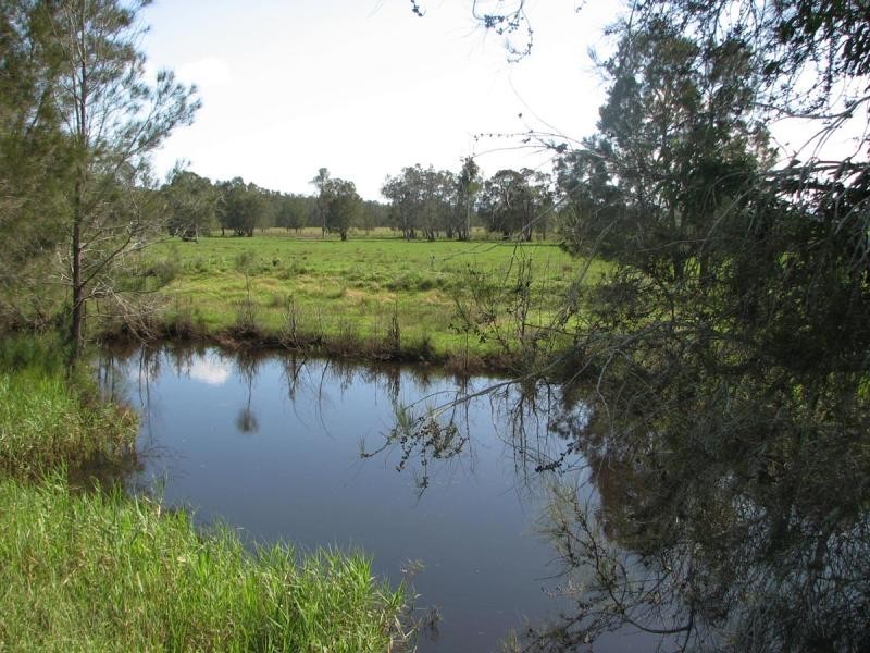 449 BACK KINGS CREEK ROAD, Lawrence NSW 2460