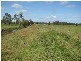 449 BACK KINGS CREEK ROAD, Lawrence NSW 2460