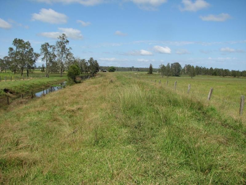 449 BACK KINGS CREEK ROAD, Lawrence NSW 2460