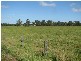 449 BACK KINGS CREEK ROAD, Lawrence NSW 2460