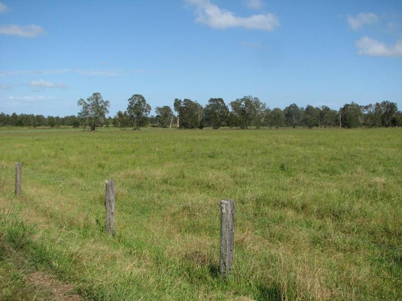 449 BACK KINGS CREEK ROAD, Lawrence NSW 2460