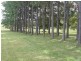 31 Island View Road, Woombah NSW 2469