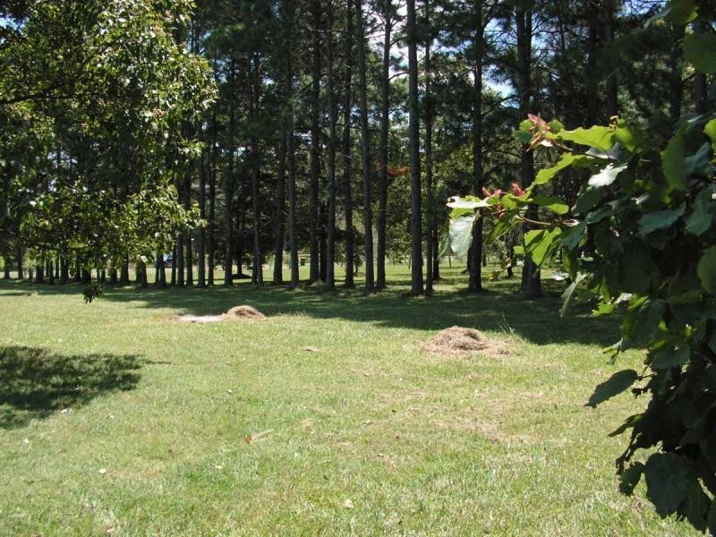 31 Island View Road, Woombah NSW 2469