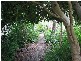 4252 PRINGLES WAY, Lawrence NSW 2460