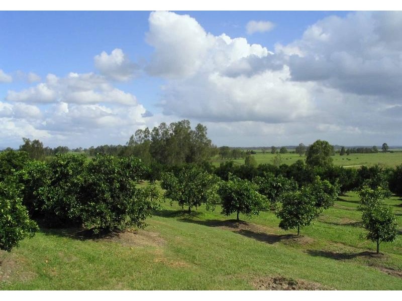 Lot 290/ Ward Street, Lawrence NSW 2460