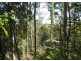 8 Hoschkes Lane, Maclean NSW 2463