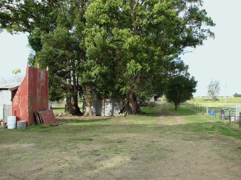 17 Palm Lane, Harwood NSW 2465