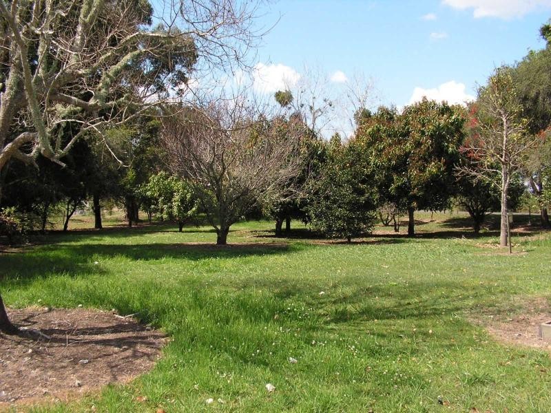 259 Riverbank Road, Lawrence NSW 2460