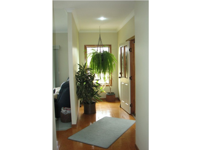 38 Clarence Street, Maclean NSW 2463