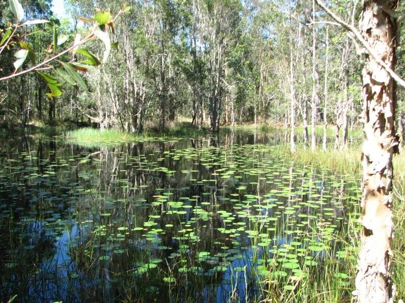 209 Gardiners Road, James Creek NSW 2463