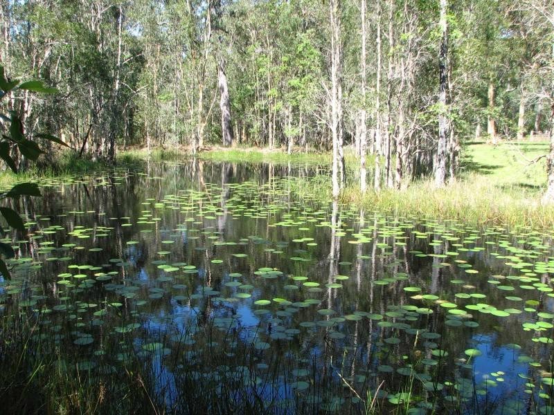 209 Gardiners Road, James Creek NSW 2463