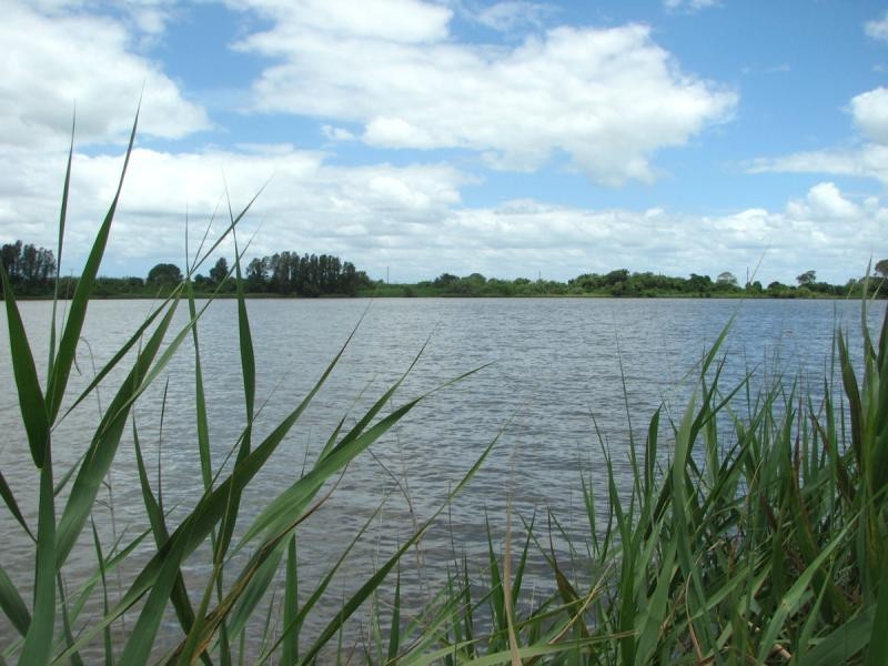 92 Kings Creek Road, Lawrence NSW 2460