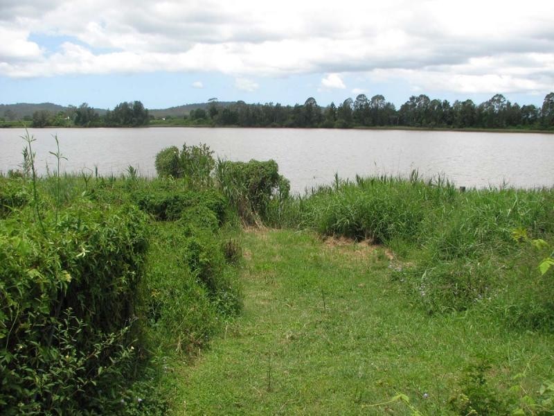 92 Kings Creek Road, Lawrence NSW 2460