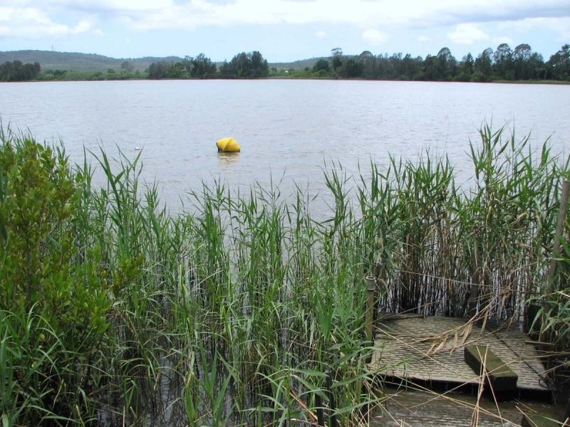 92 Kings Creek Road, Lawrence NSW 2460