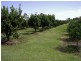 Lot 290/ Ward St, Lawrence NSW 2460