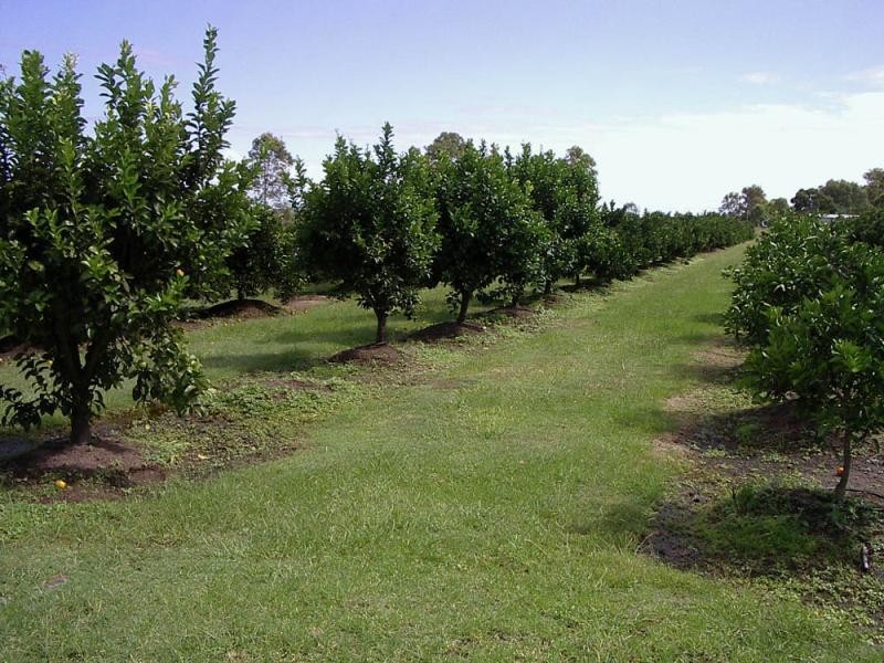 Lot 290/ Ward St, Lawrence NSW 2460