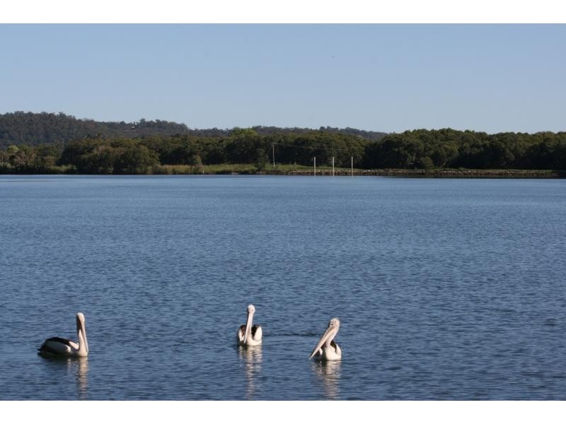 26 Martins Point Road, Harwood NSW 2465