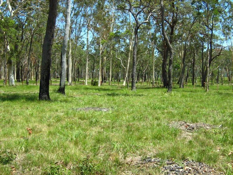 Lot 1019/ Major Mitchell Drive, Gulmarrad NSW 2463