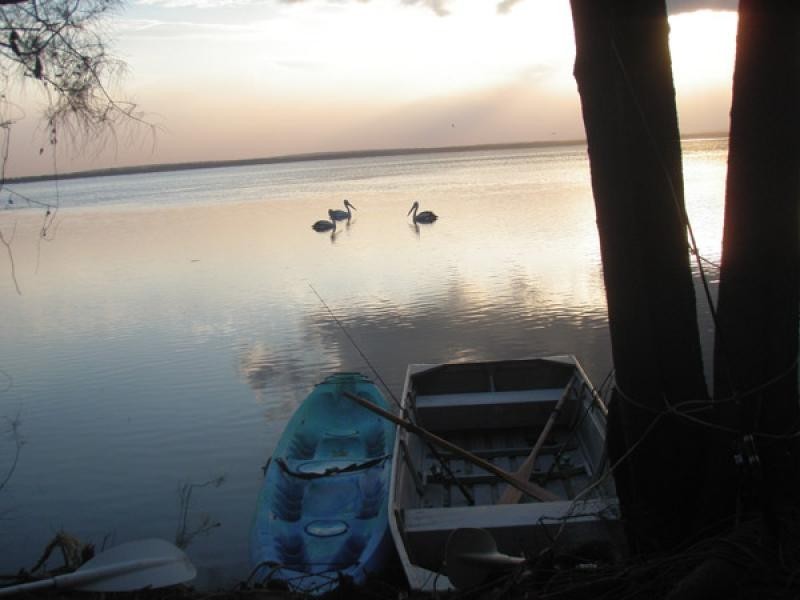 315 Tullymorgan Road, Ashby NSW 2463