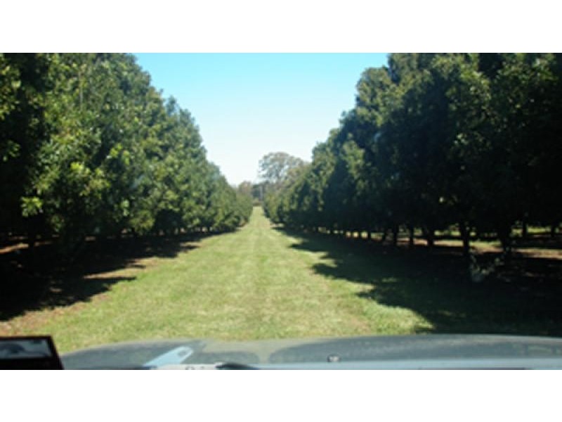 315 Tullymorgan Road, Ashby NSW 2463