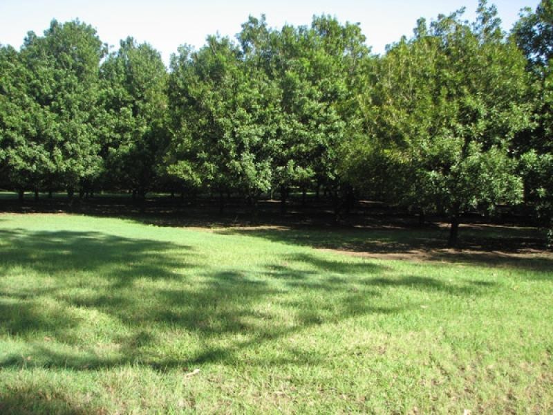 315 Tullymorgan Road, Ashby NSW 2463