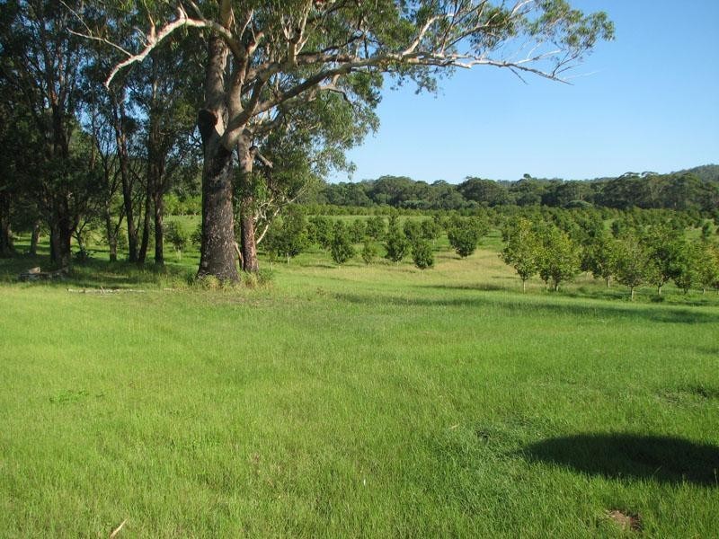 66 Cambridge Park Lane, Woodford NSW 2463