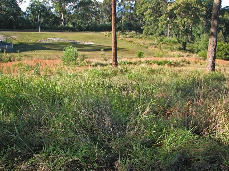 5 The Glen, Maclean NSW 2463