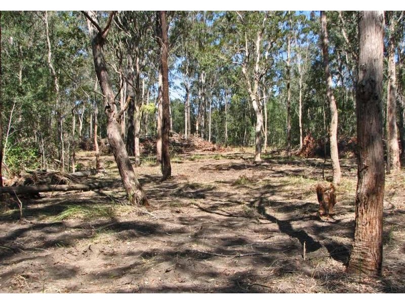Lot 2/315 Tullymorgan Road, Ashby NSW 2463