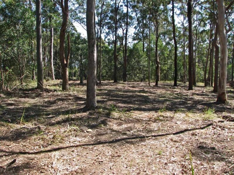 Lot 2/315 Tullymorgan Road, Ashby NSW 2463