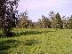 LOT 104,98,89 SHARK CREEK ROAD, Shark Creek NSW 2463